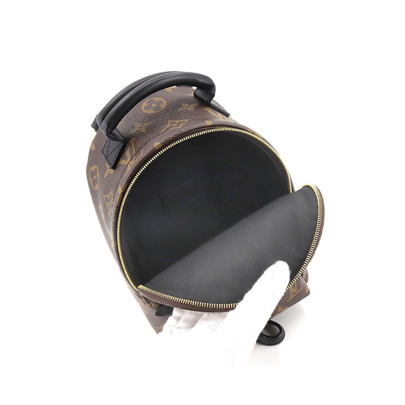 Louis Vuitton Monogram Palm Springs Backpack Mini Rucksack - Picture 5 of 8